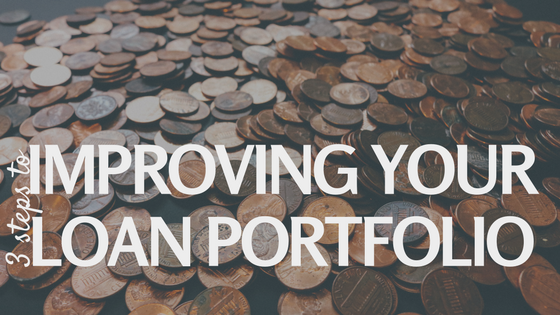 loan portfolio.png