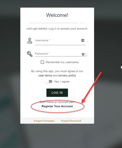 Picture showing how to begin registration in the Triad Loan Access Portal Picture showing how to begin registration in the Triad Loan Access Portal