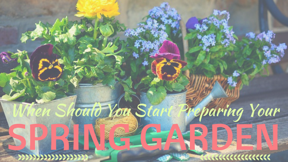 When Should You Start Preparing Your Spring Garden